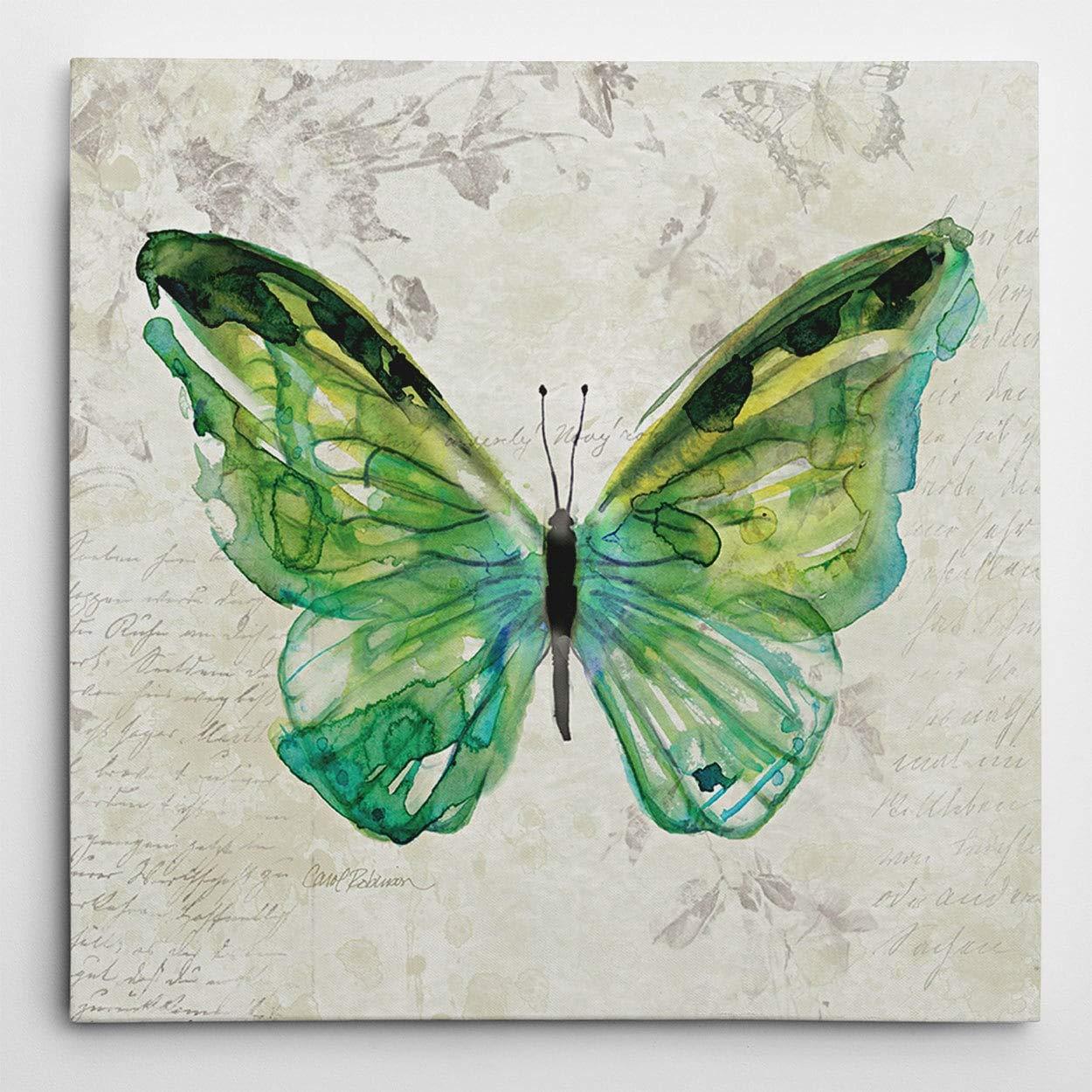 Green Butterfly Sketch Canvas Wall Art, 16x16