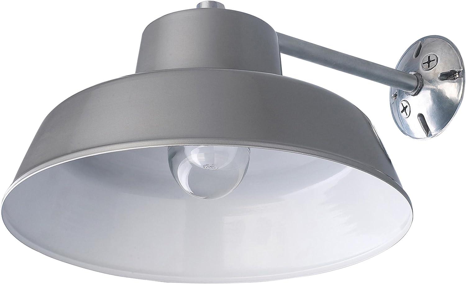 Canarm BL14CWS All Weather 1-Bulb Ceiling or Wall Mount All Weather Light with Clear Glass Globe, Grey Medium