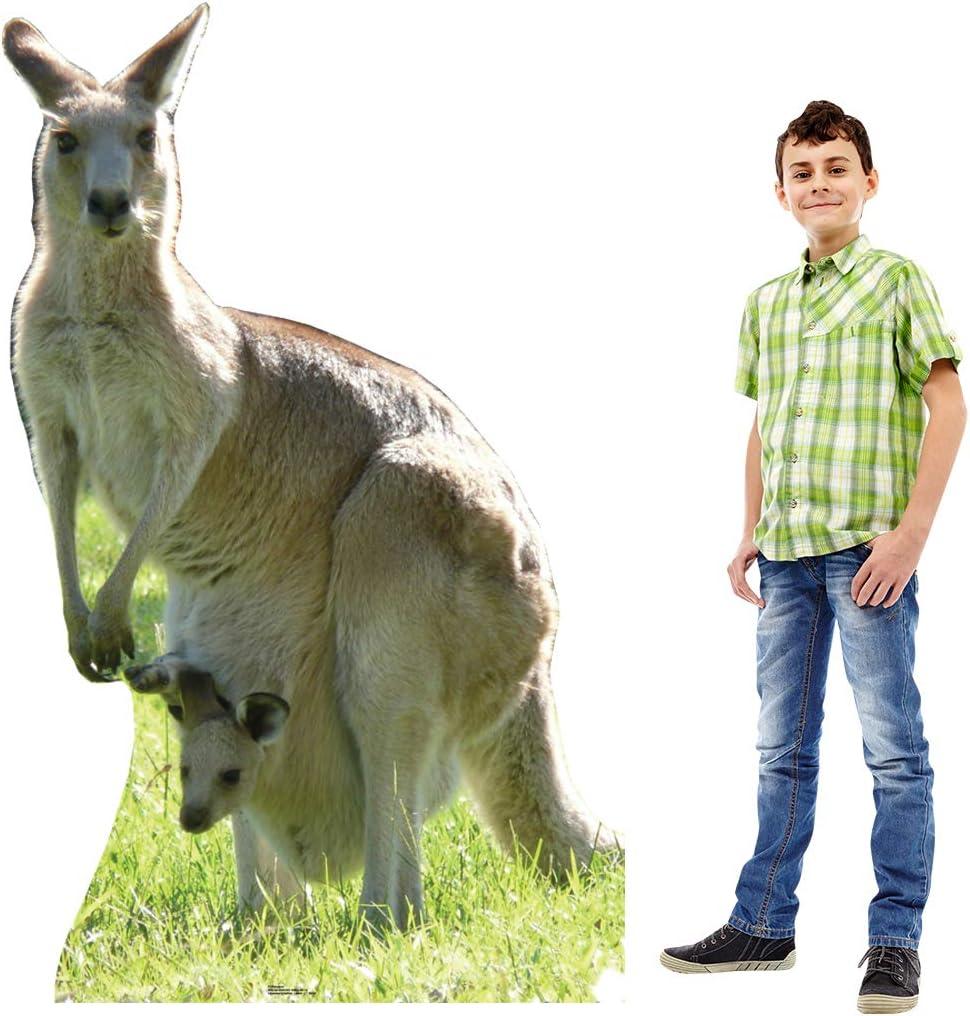 Kangaroo Cardboard Stand-Up