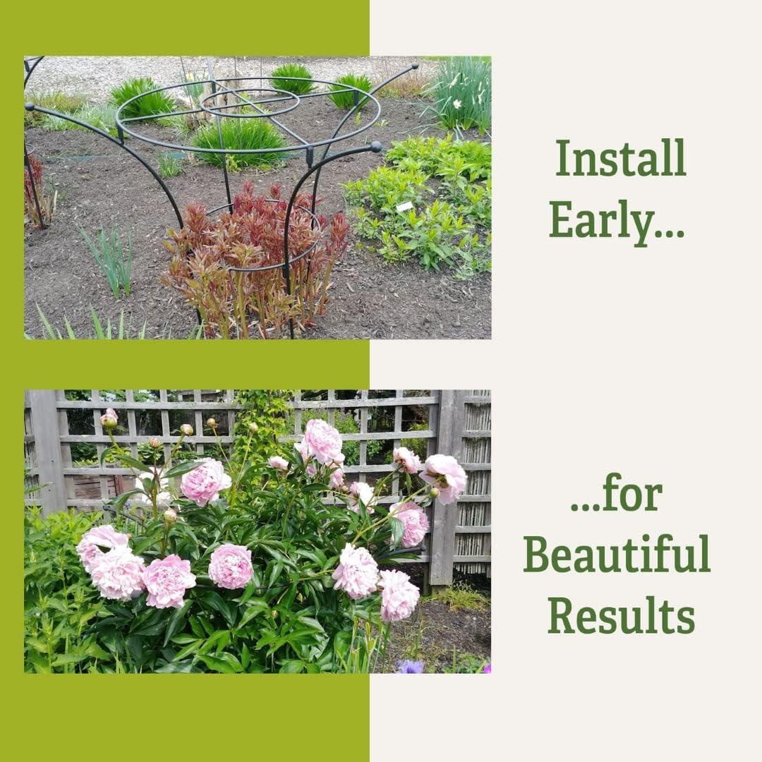 Essex Plant Supports