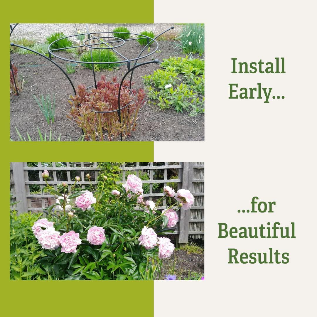 Essex Plant Supports