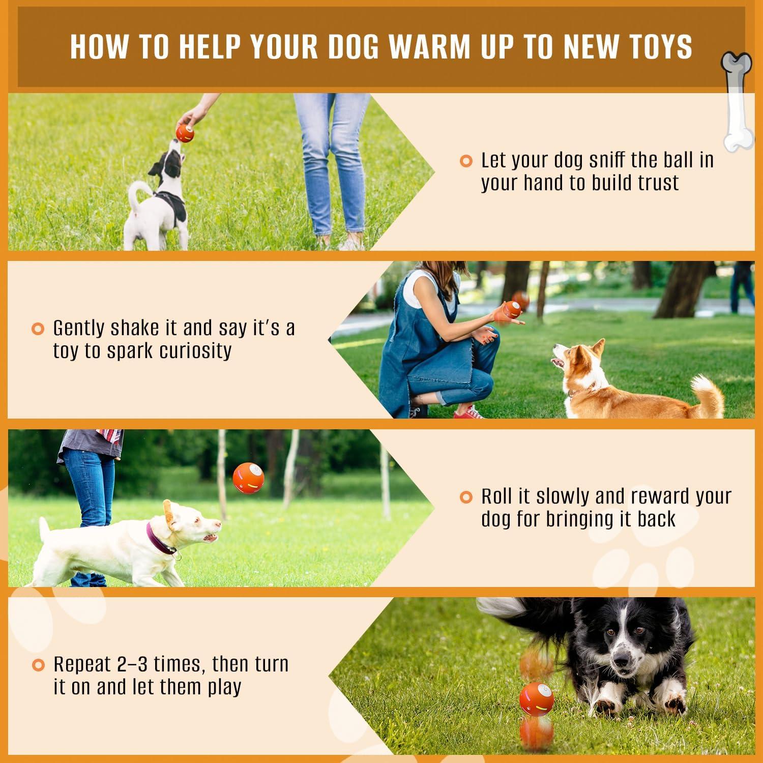 YVE LIFE Interactive Dog Ball Toys,Durable Motion Activated Automatic Rolling Ball Toys for Puppy/Small/Medium Dogs,USB Rechargeable