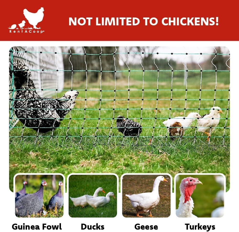 168' x 48" Green and White Metal Electric Poultry Fence