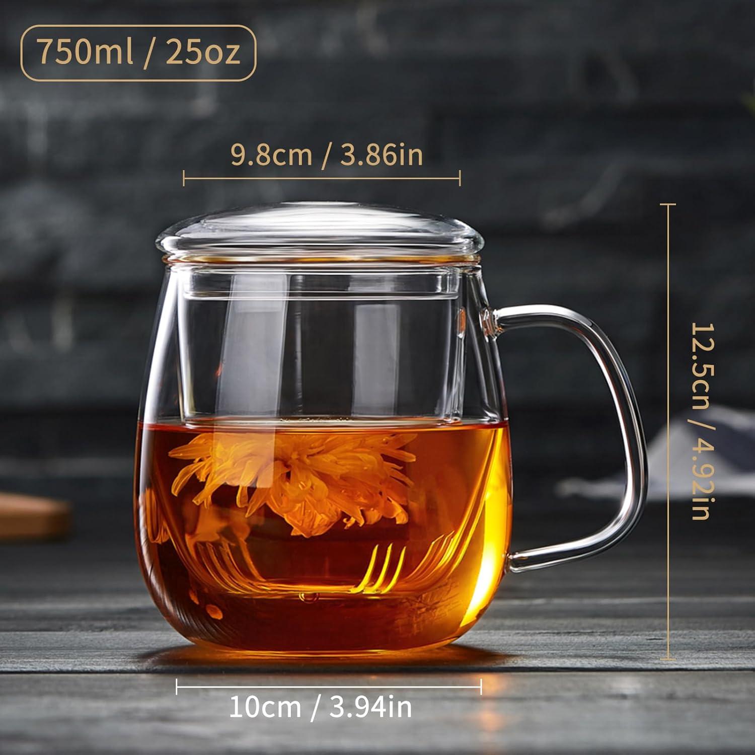 Large Clear Borosilicate Glass Tea Cup with Infuser and Lid, 17.6oz