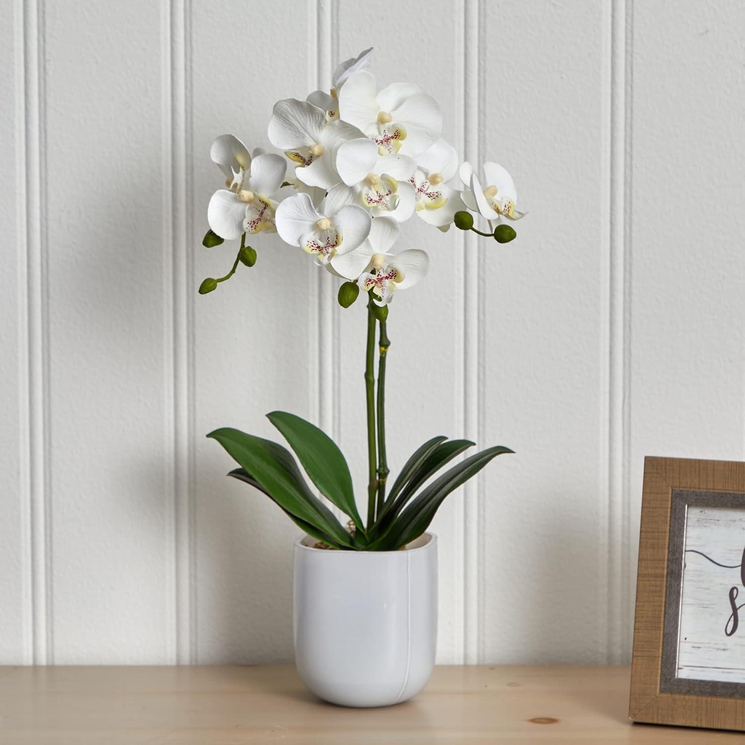 Silk Plant Nearly Natural Phalaenopsis in Frosted Glass