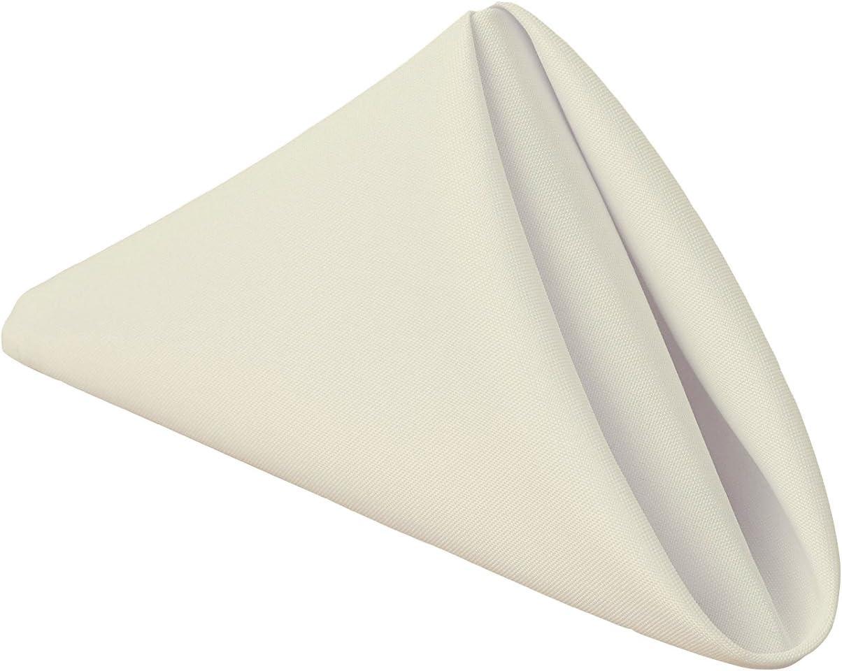 Gee Di Moda Cloth Napkins - 17 x 17 Inch - Heavy Duty Washable Polyester - Set of 12