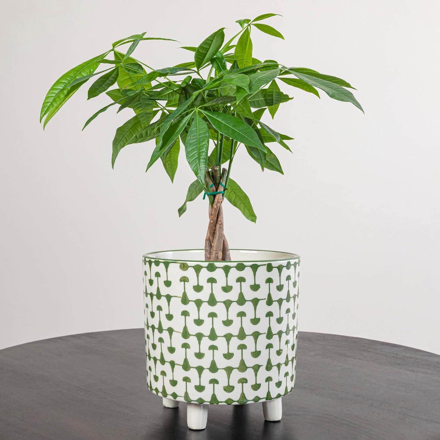 Creative Co-Op Footed Stoneware Planter with Abstract Print, Green and White