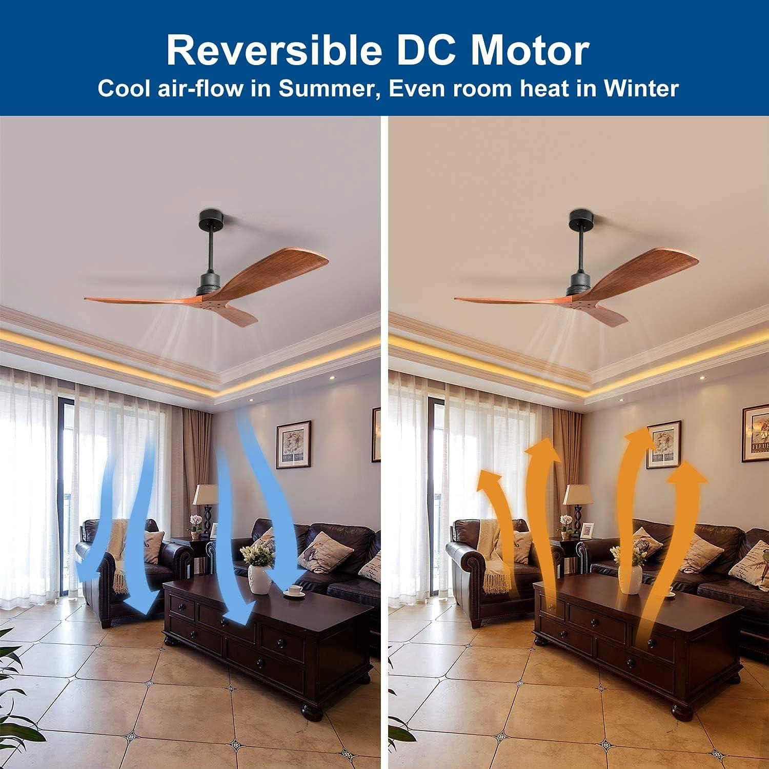 Nicola 52'' Ceiling Fan