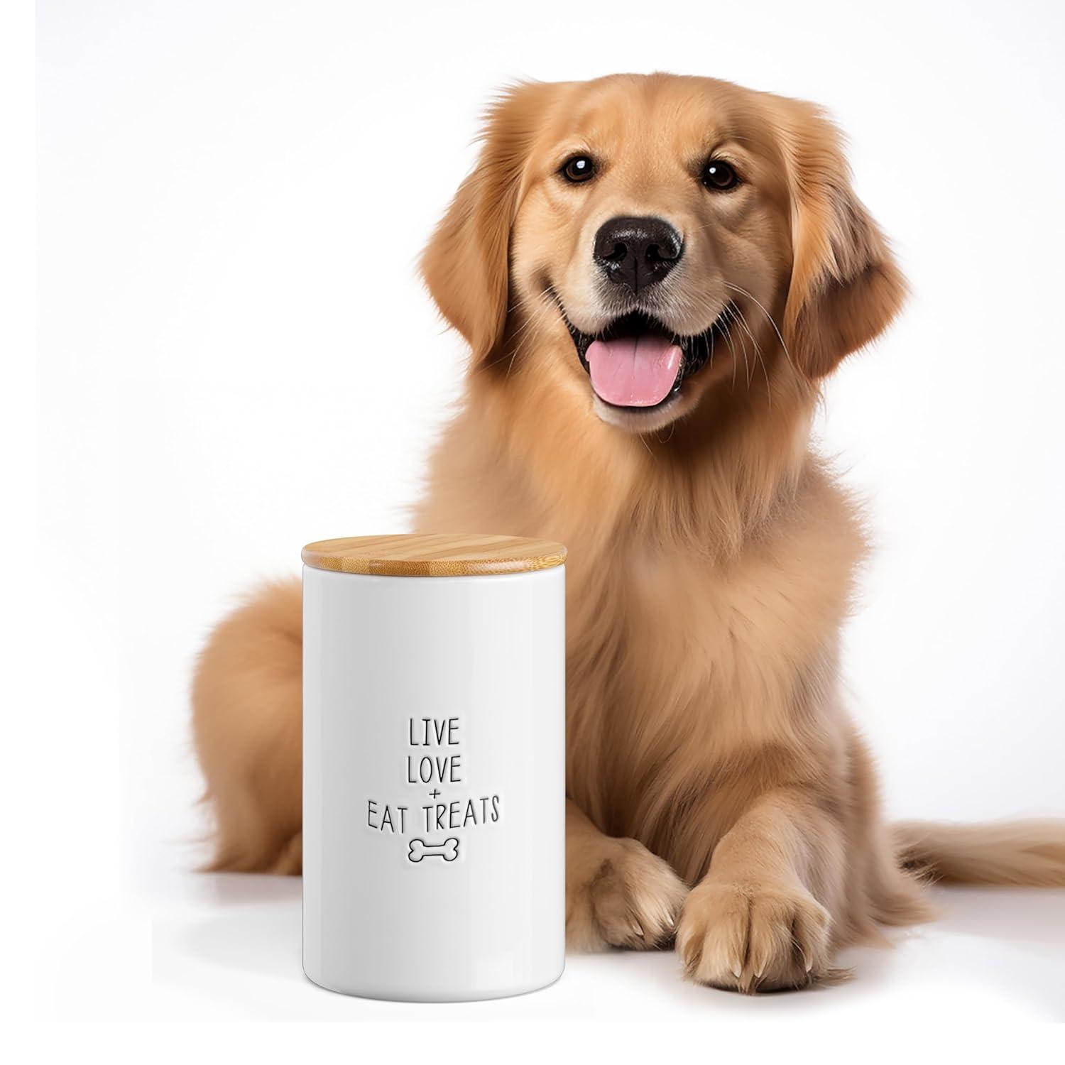 Trinx Ceramic / Porcelain Jar