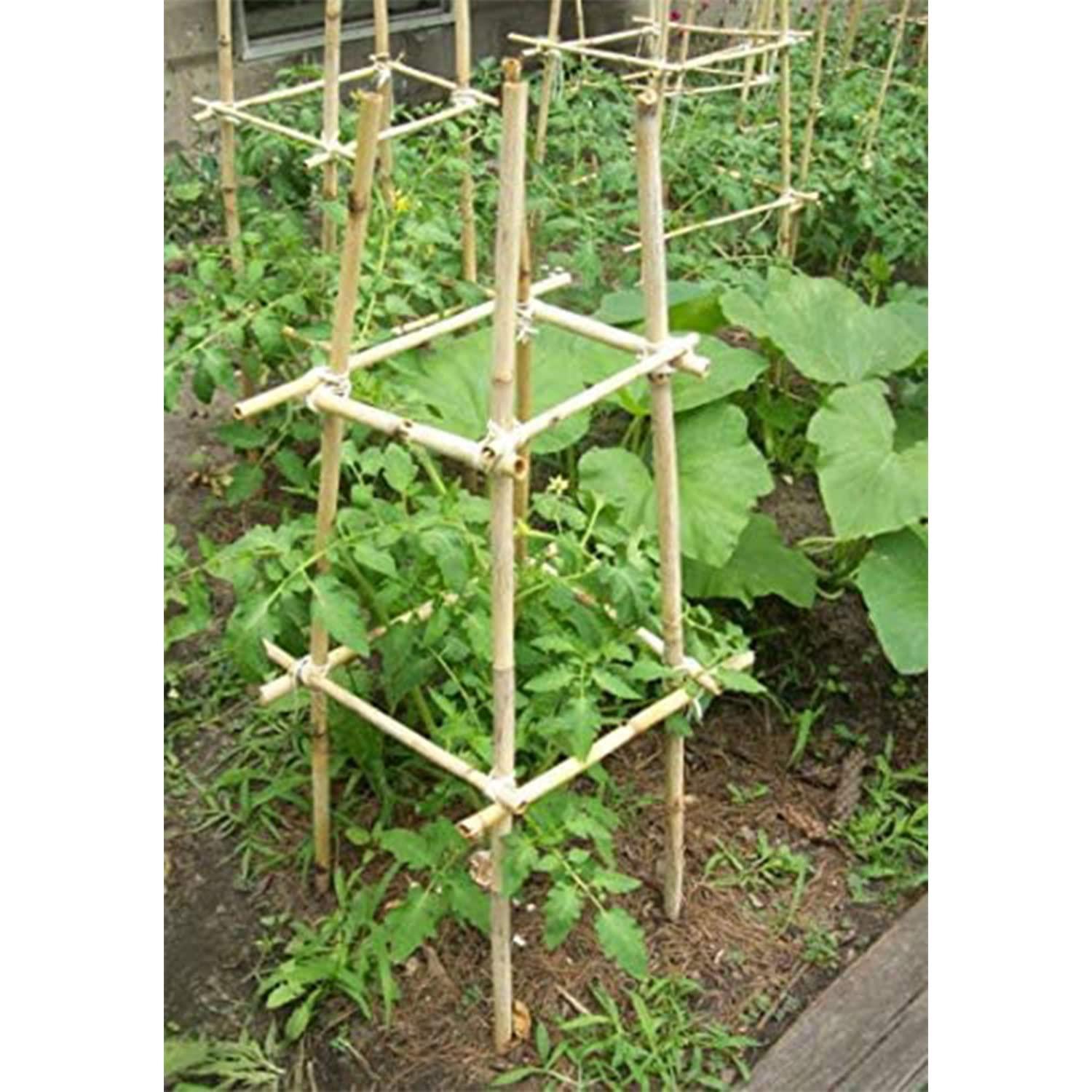 GROW!T 6' Bamboo Stakes, pack of 25
