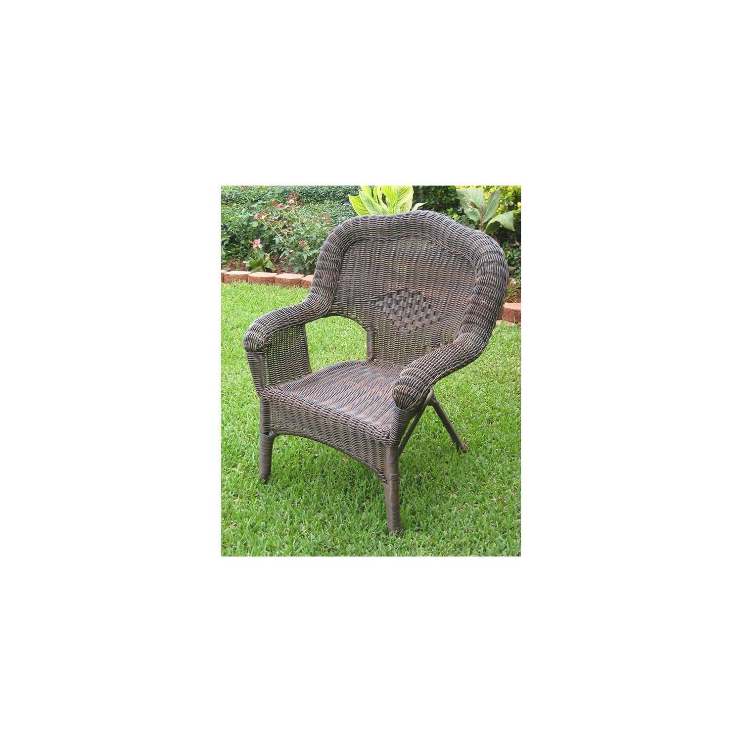 International Caravan Camelback Resin Wicker Patio Chairs (Set of 2)