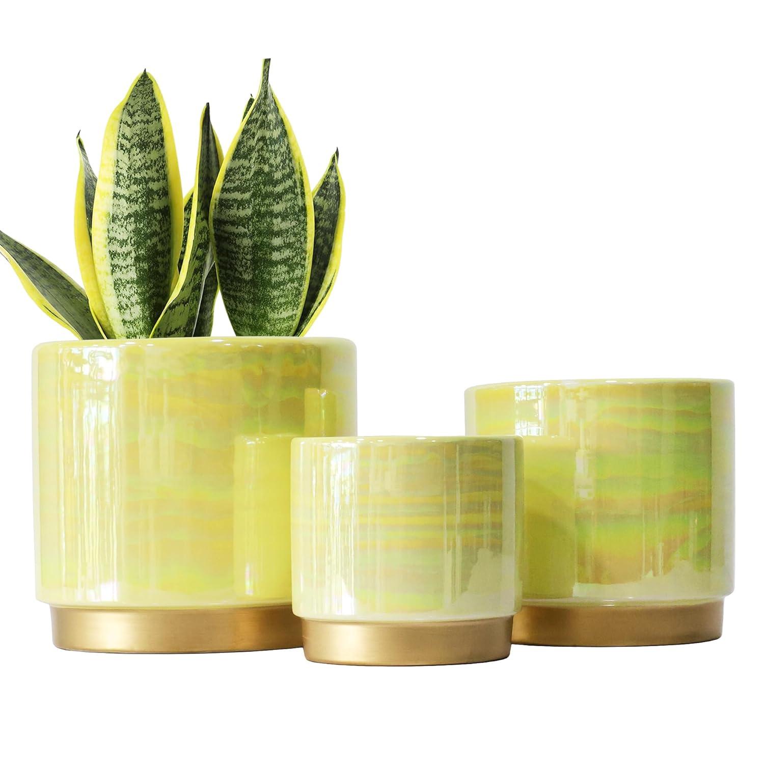 Gepege Indoor Pots for Plants, Ceramic Planter with Drainage Hole, 6.0 inch+5.0 Inch+4.0 Inch. Succulent Orchid Flower Pot - Rainbow Pearl Glaze