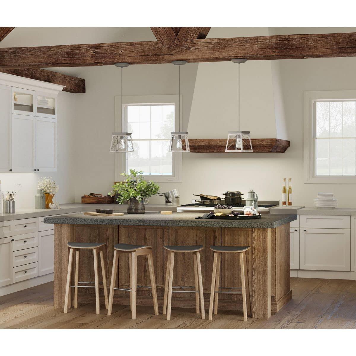 Progress Lighting Briarwood 1-Light Mini-Pendant, Steel, Graphite Finish, Faux-Painted Wood Enclosure