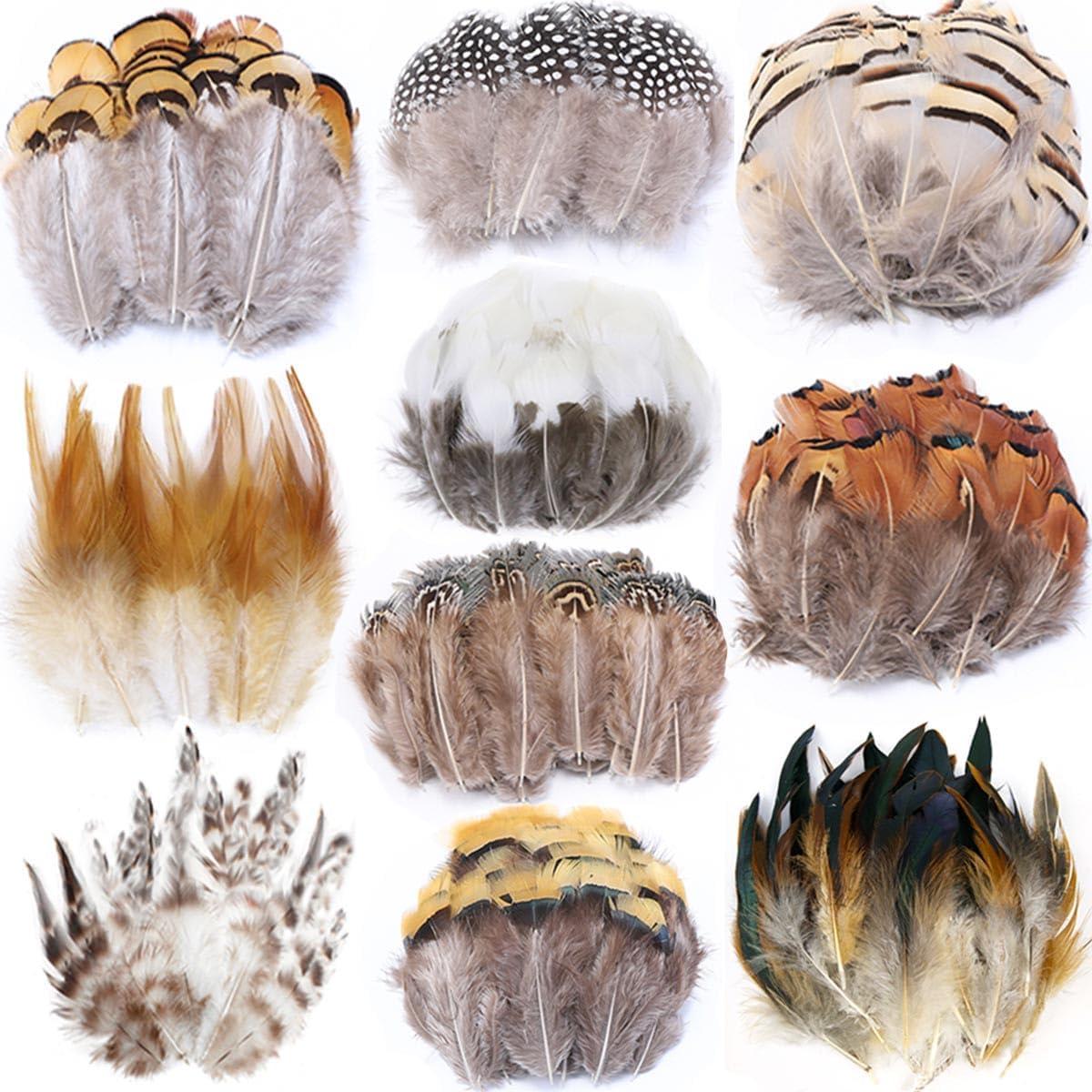 180pcs 6 Style Natural Feathers Assorted Mixed Feathers for Dream Catcher Crafts Decoration (6 Styles/180 Pcs)