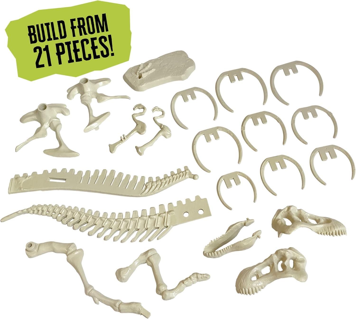Thames & Kosmos Giant Dinosaur Skeleton Kit