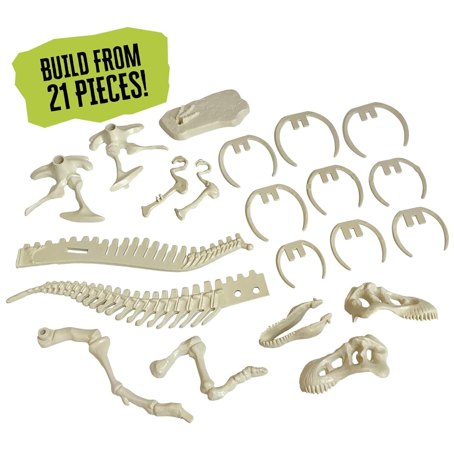 Thames & Kosmos Giant Dinosaur Skeleton Kit