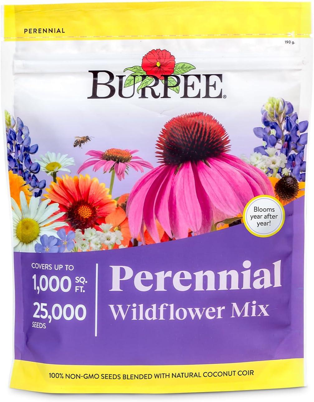 Burpee Perennial Wildflower Seeds Mix – Non-GMO, Attracts Pollinators, Perennial Flowers, 50,000 Seeds, 1 Bag
