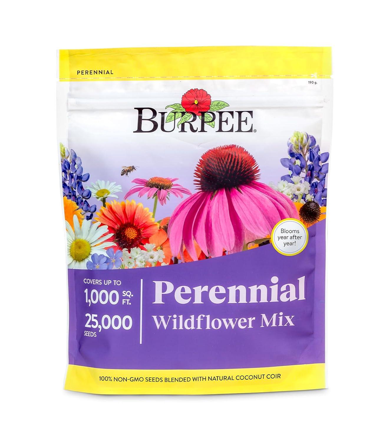 Burpee Perennial Wildflower Seeds Mix – Non-GMO, Attracts Pollinators, Perennial Flowers, 50,000 Seeds, 1 Bag