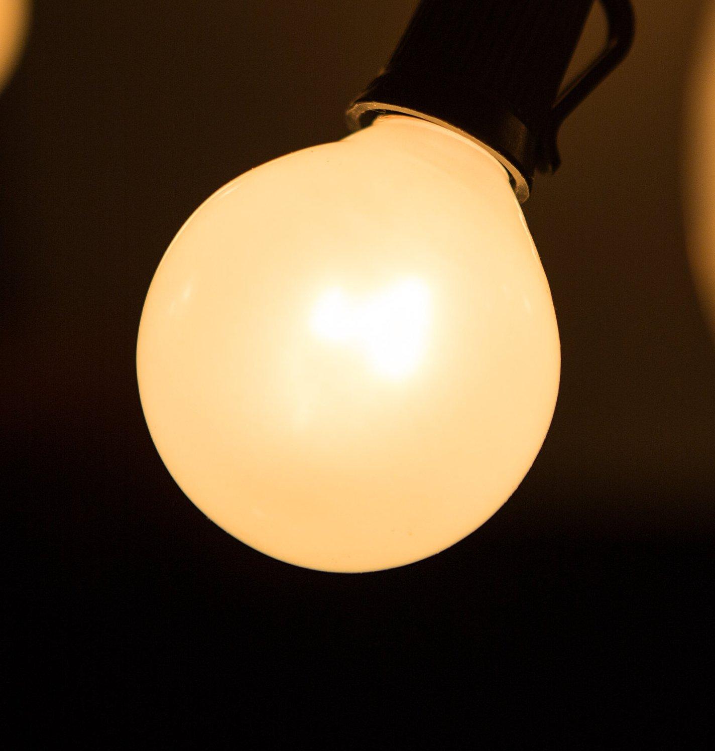 Set of 25 Frosted White Glass Dimmable Globe Light Bulbs