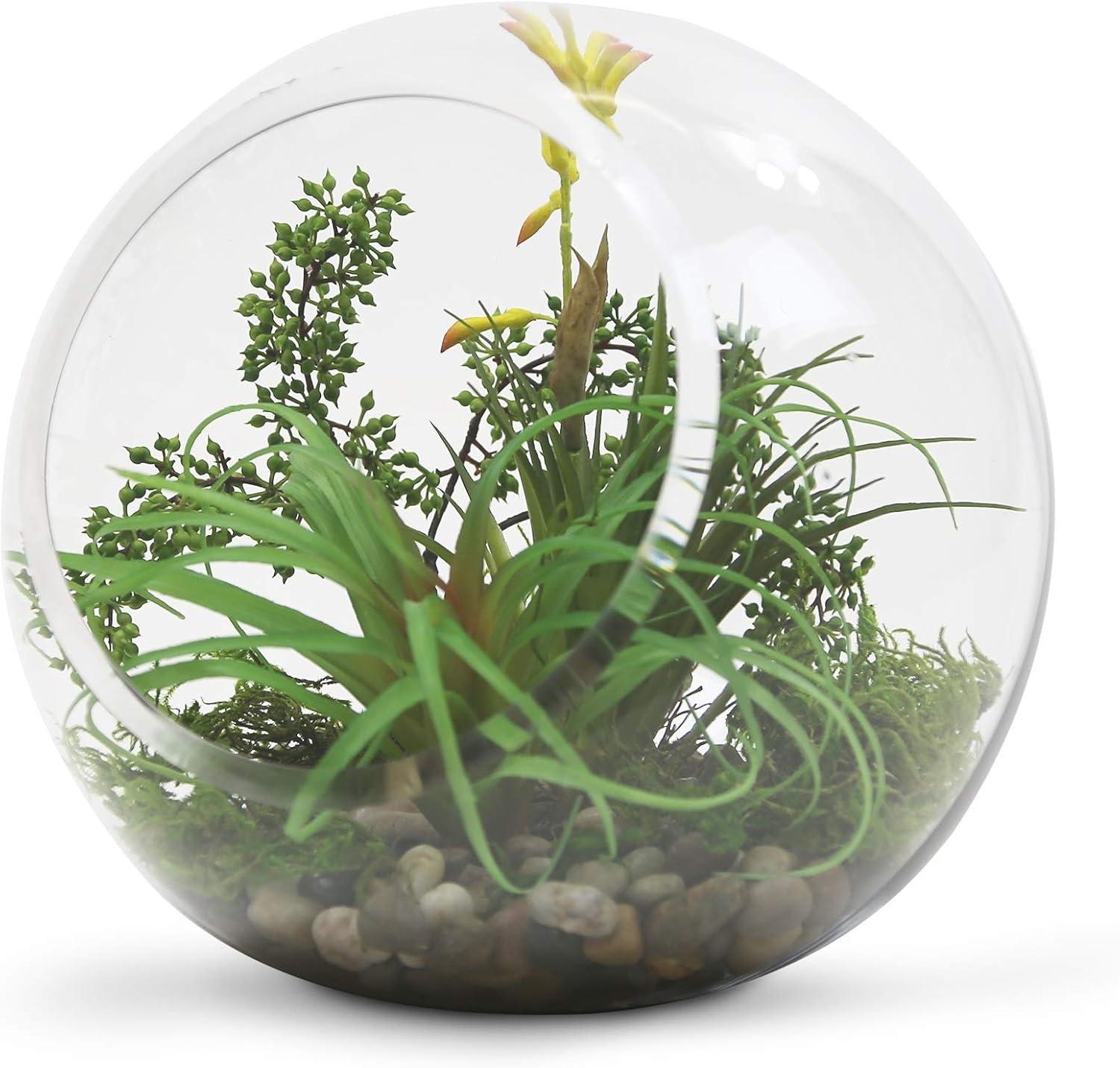 WGV Slant Cut Bowl Glass Vase, Width 9", Height 9", Clear Round Globe Planter Terrarium Orb, Candy Dish, Fruit Jar, Floral Container for Home Office Decor, 1 Piece