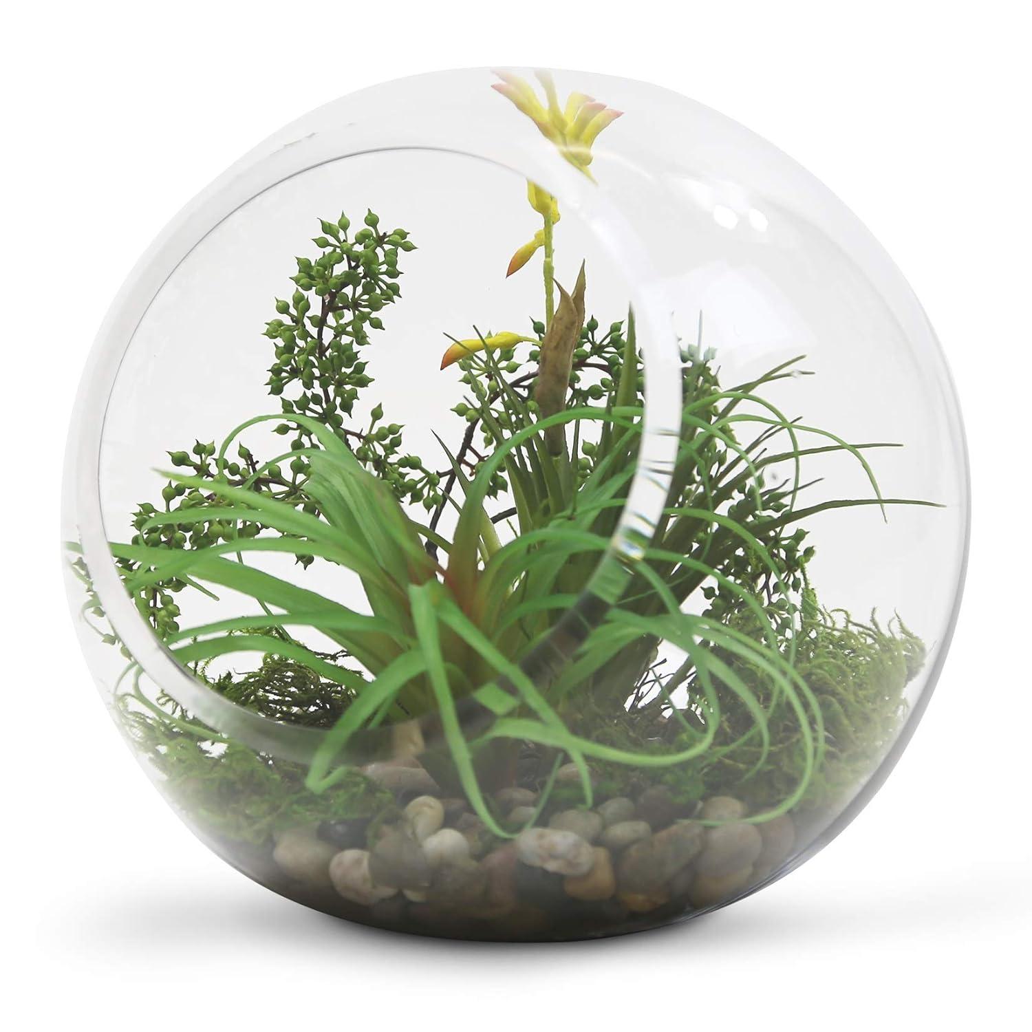 WGV Slant Cut Bowl Glass Vase, Width 9", Height 9", Clear Round Globe Planter Terrarium Orb, Candy Dish, Fruit Jar, Floral Container for Home Office Decor, 1 Piece