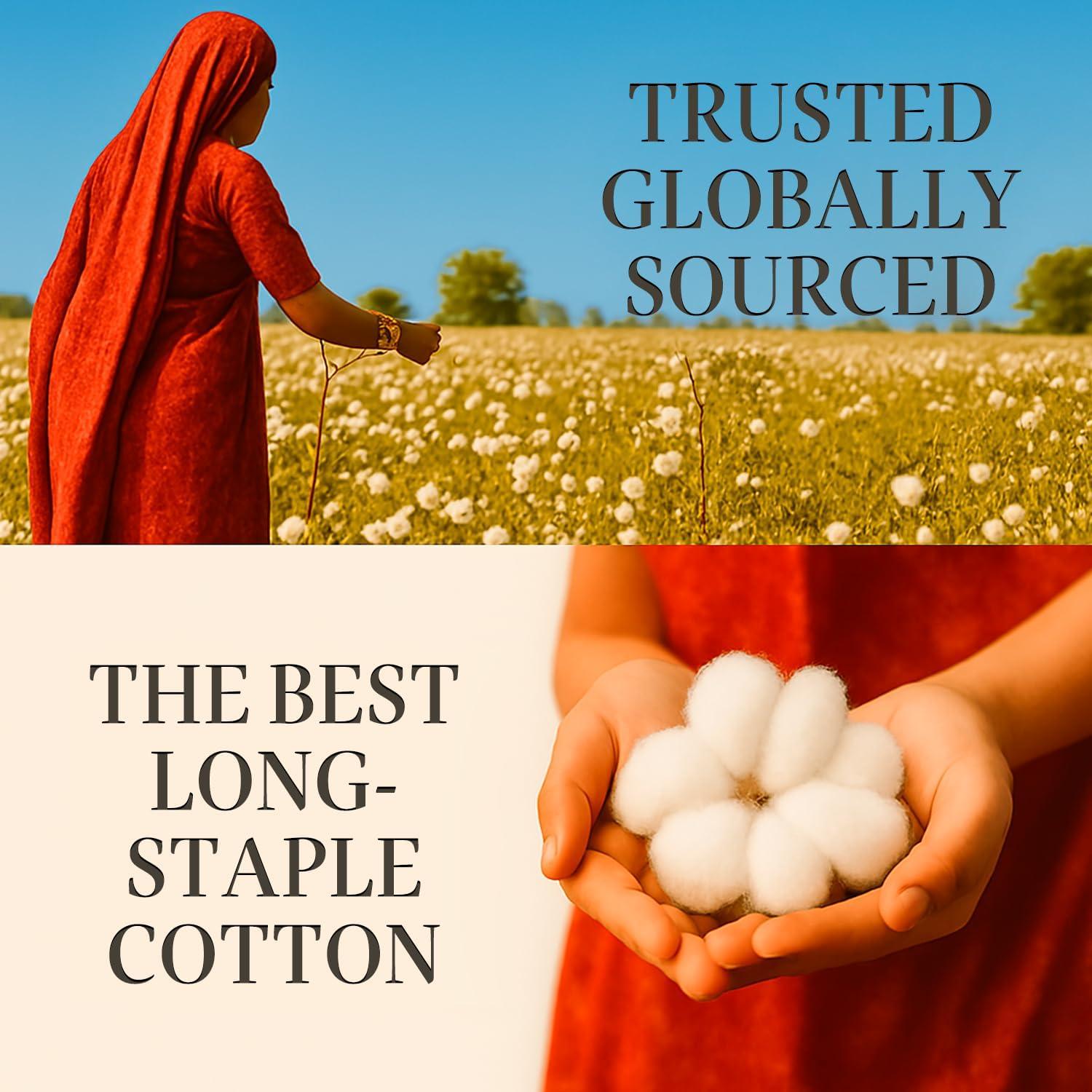 Hyde Lane Luxury 1000 Thread Count 100% Cotton Sheets | Very Soft & Thick - Fits Upto 20" Mattress | Sateen Weave Bed Sheets 18" Deep Pocket- 4 PC Sheet Set (Grey, California King)