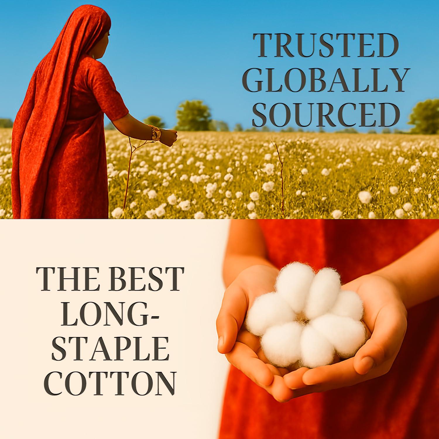 Hyde Lane Luxury 1000 Thread Count 100% Cotton Sheets | Very Soft & Thick - Fits Upto 20" Mattress | Sateen Weave Bed Sheets 18" Deep Pocket- 4 PC Sheet Set (Grey, California King)