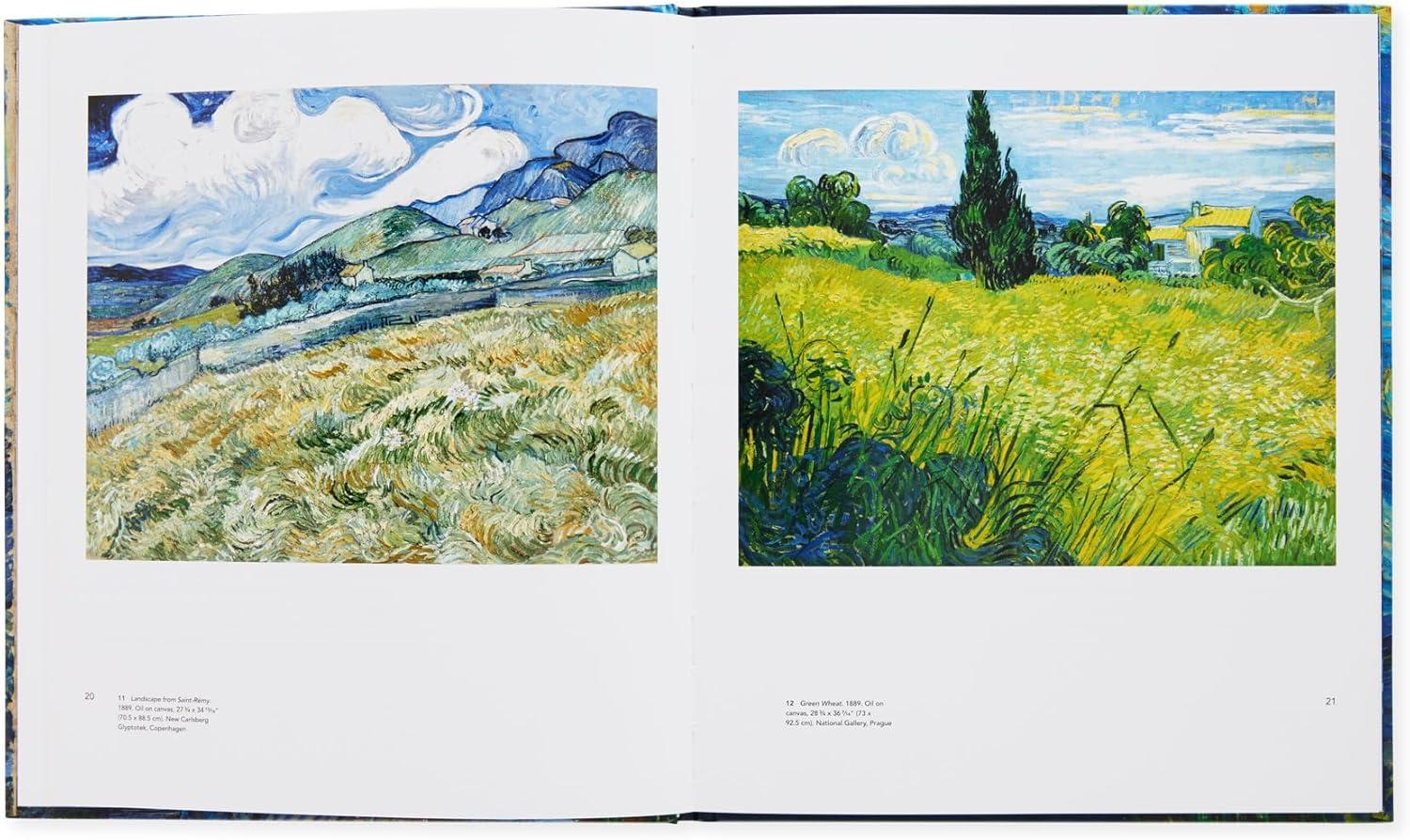 Vincent Van Gogh: Starry Night - (Hardcover)