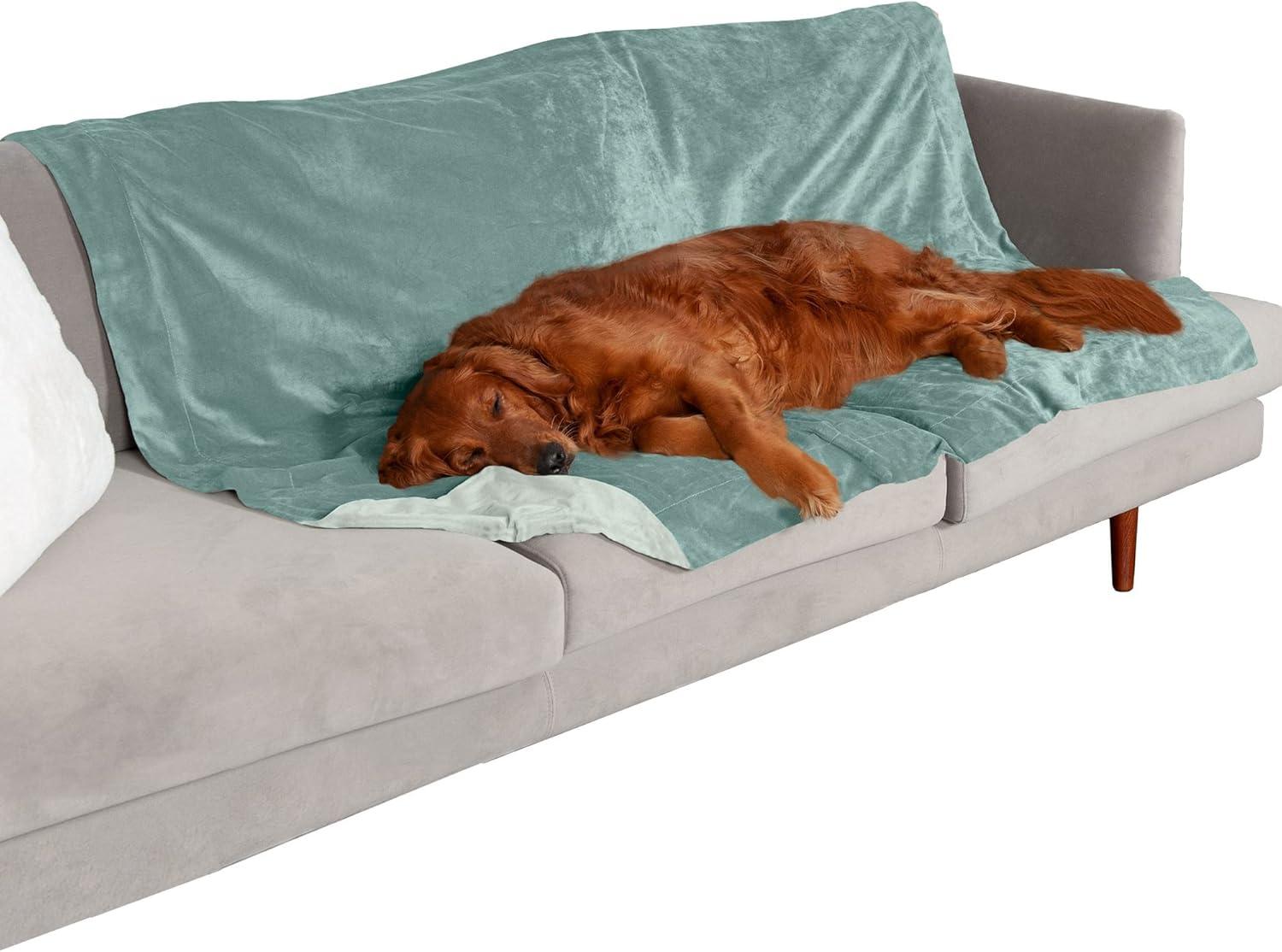 FurHaven Pet Products Waterproof Velvet Throw Blanket - Celadon Green, Extra Large