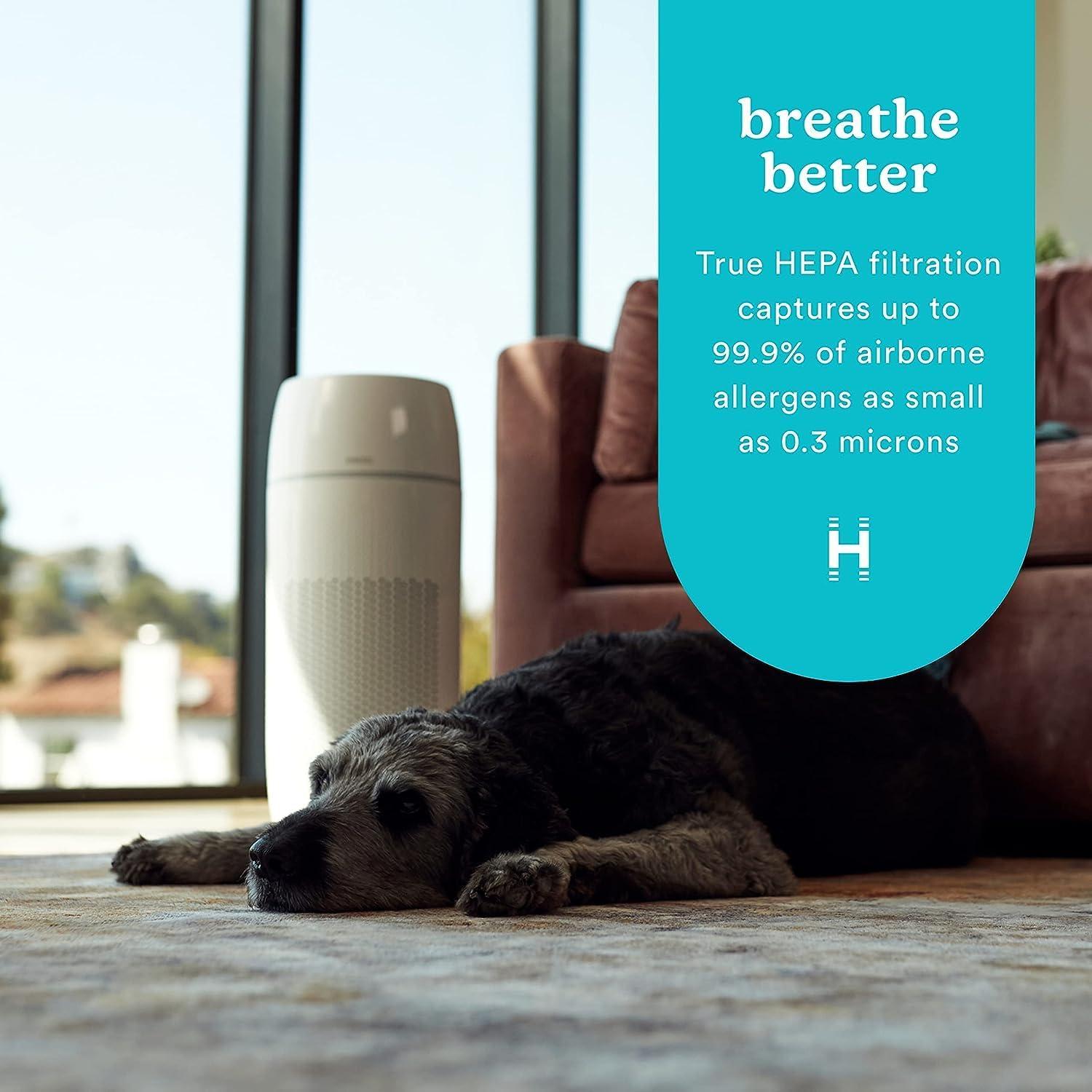 HoMedics PetPlus Large Room Air Purifier with UV-C Technology: Electric, 3 Settings, CARB Certified, 100-300 sq. ft.