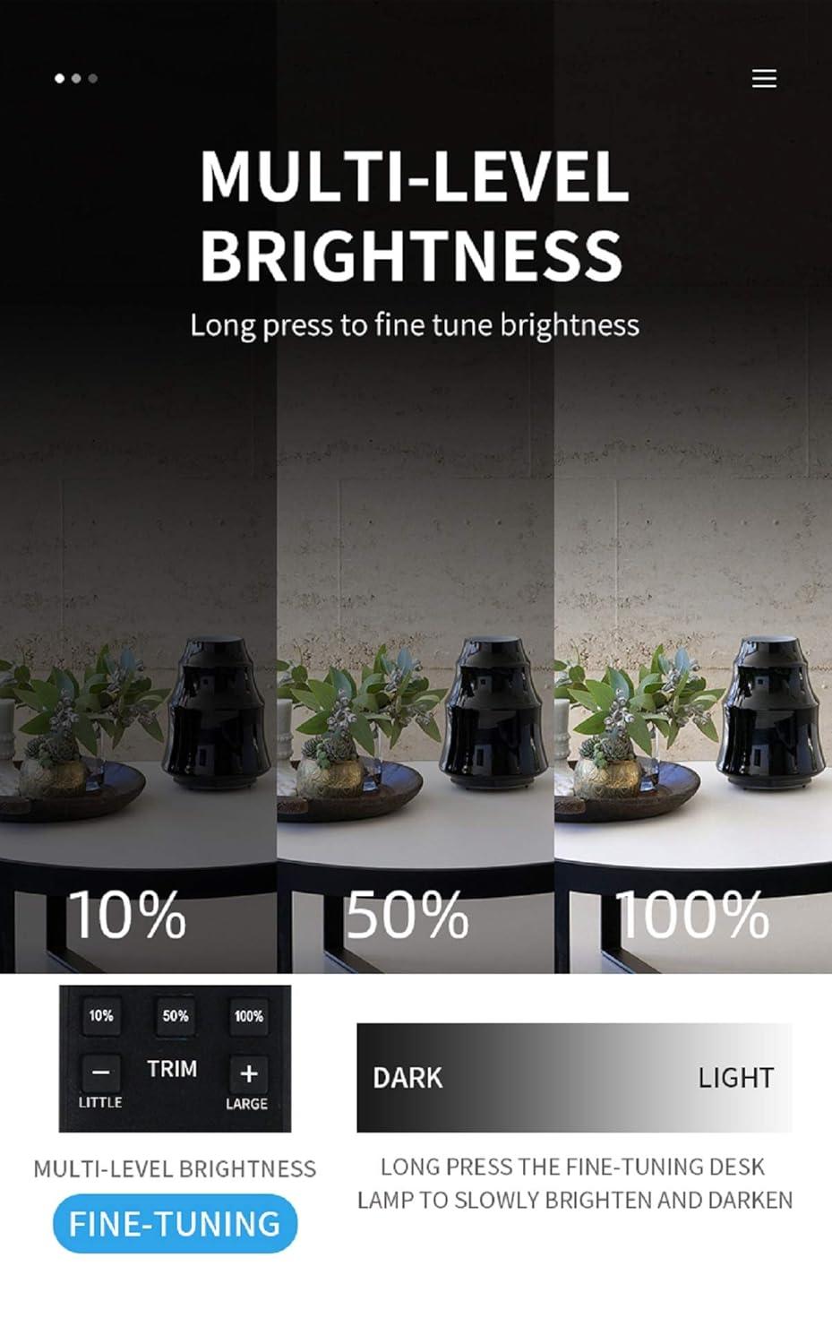 LED Desk Lamp, Adjustable Table Light with Remote Control, Eye-Caring Dimmable Office Lamp with 2 USB Charging Ports, 4 AC Power Outlets, Phone Stand, Multi Brightness Levels (White)