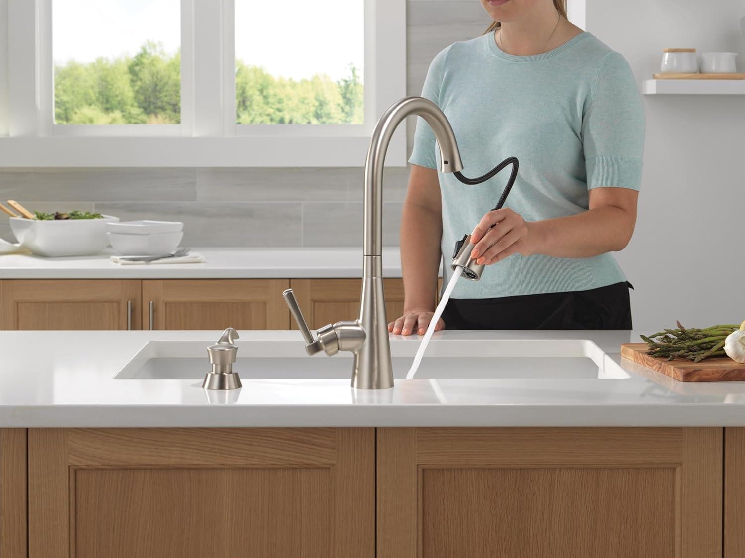 Boyd Pull Down Sprayer Kitchen Sink Faucet with Matching Soap Dispenser