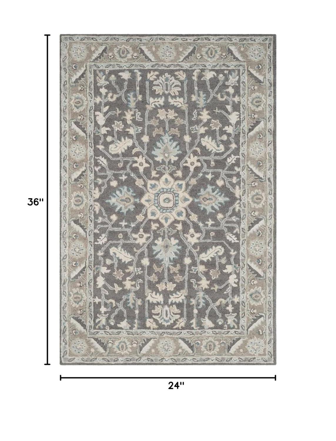 Blossom BLM217 Hand Tufted Accent Rug - Dark Grey/Light Brown - 2'x3' - Safavieh.