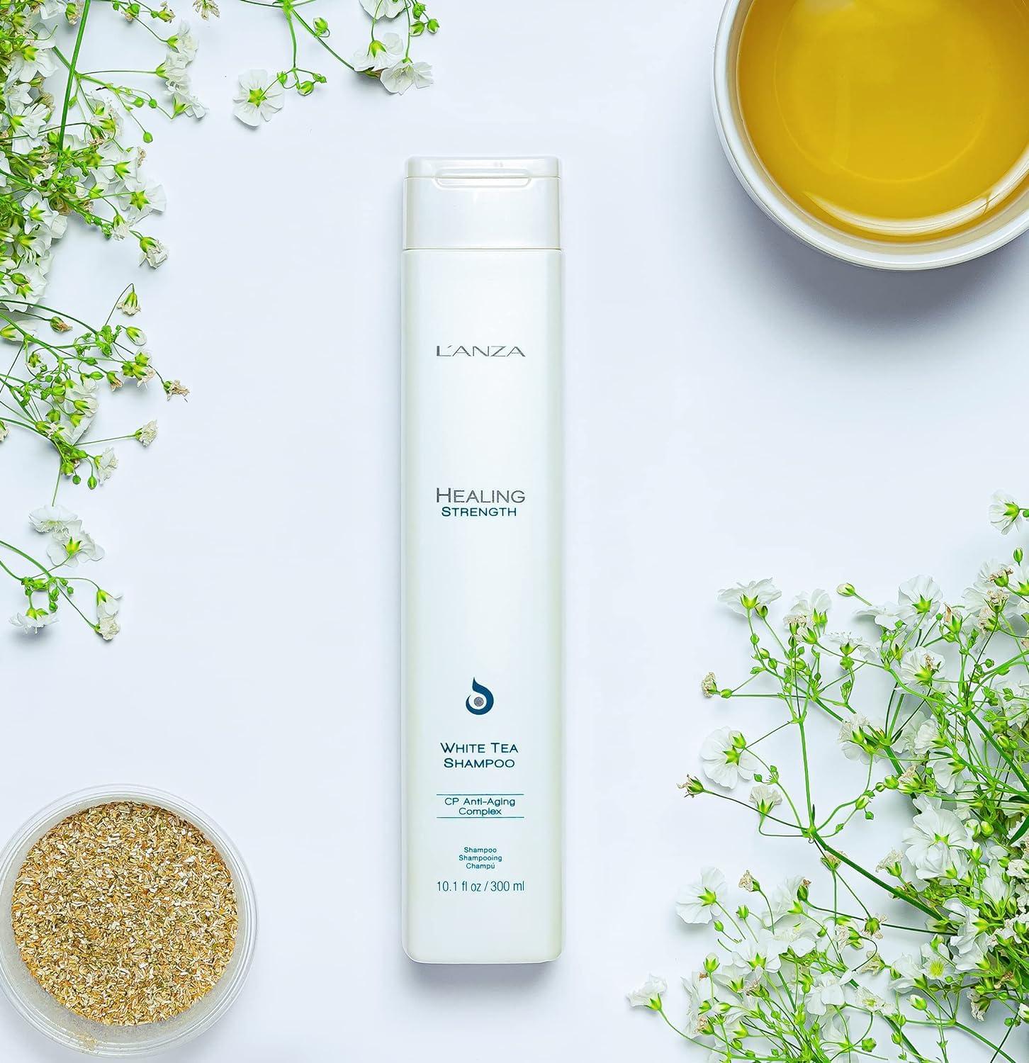 L'ANZA Healing Strength White Tea Shampoo, Shampoo For Dry, Damaged Hair, Boosts Shine, Strengthens, and Restores Weak, Fragile, Aged Hair Against Split Ends & Frizz Control, New Bottle
