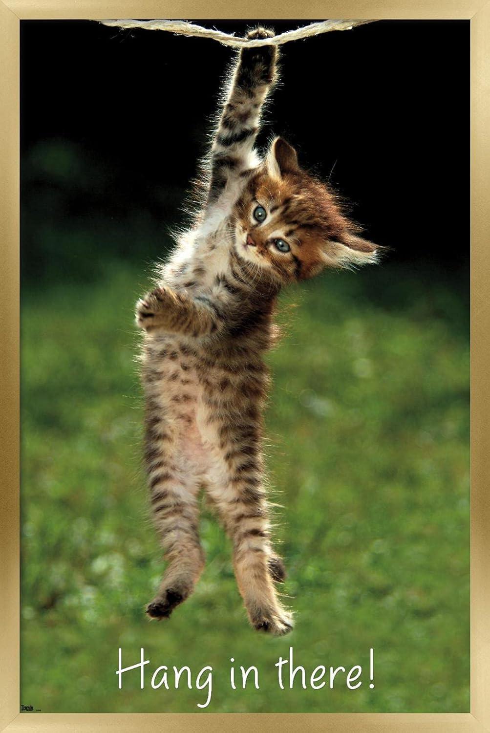 Famous Kitten Hang In There Poster Wall Poster, 22.375" x 34", Framed