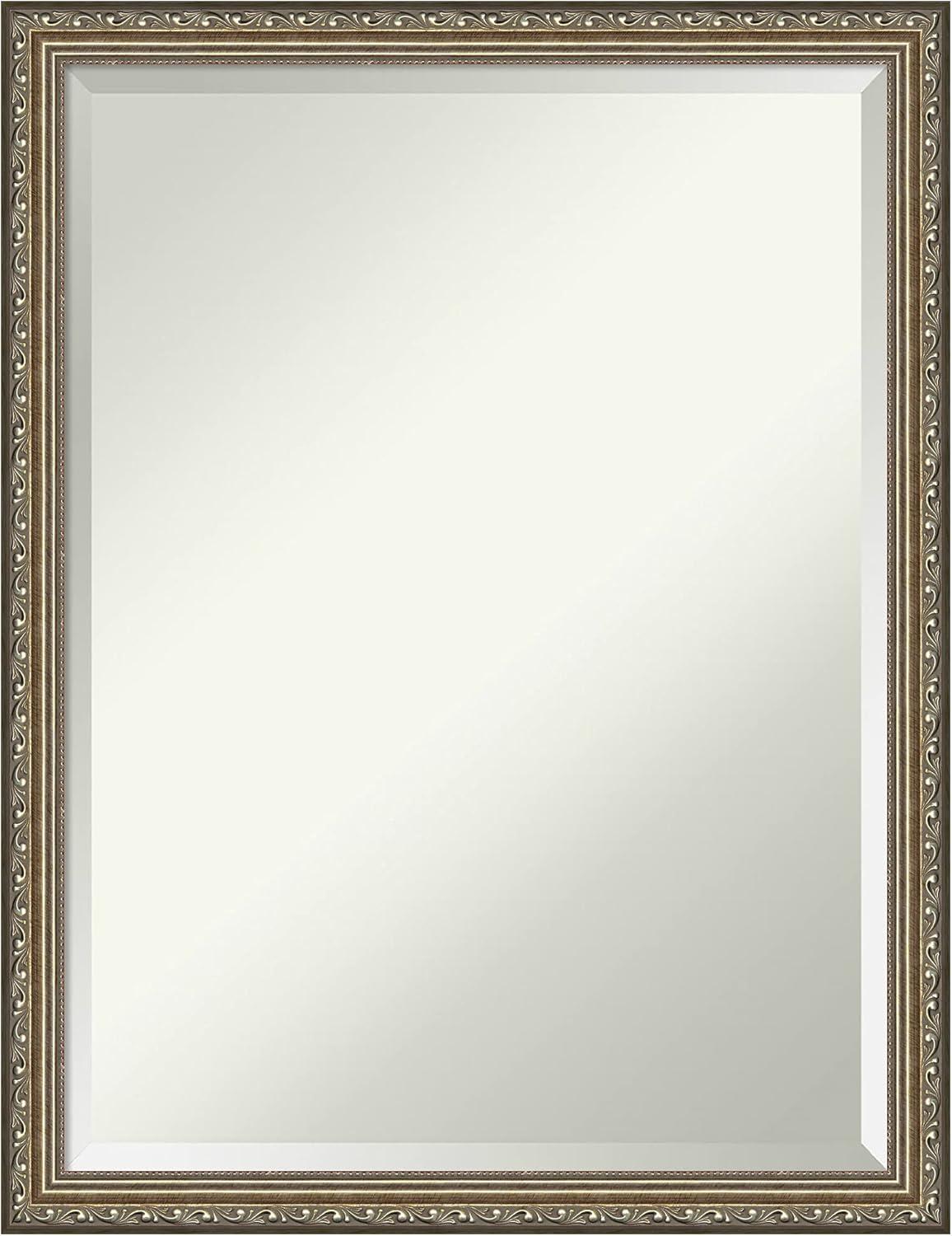 Amanti Art Beveled Wood Wall Mirror - Parisian Silver Frame Outer Size: 20 x 26 in