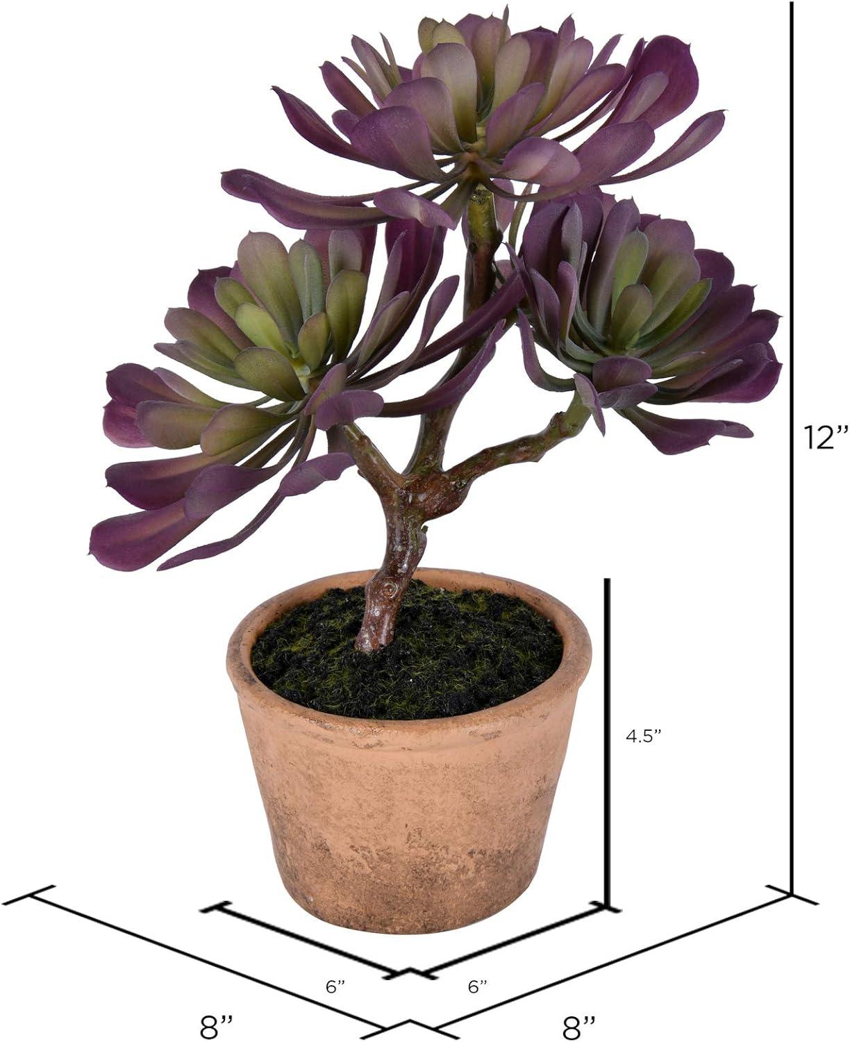 Union Rustic 12'' Faux Succulent in Wicker/Rattan Pot
