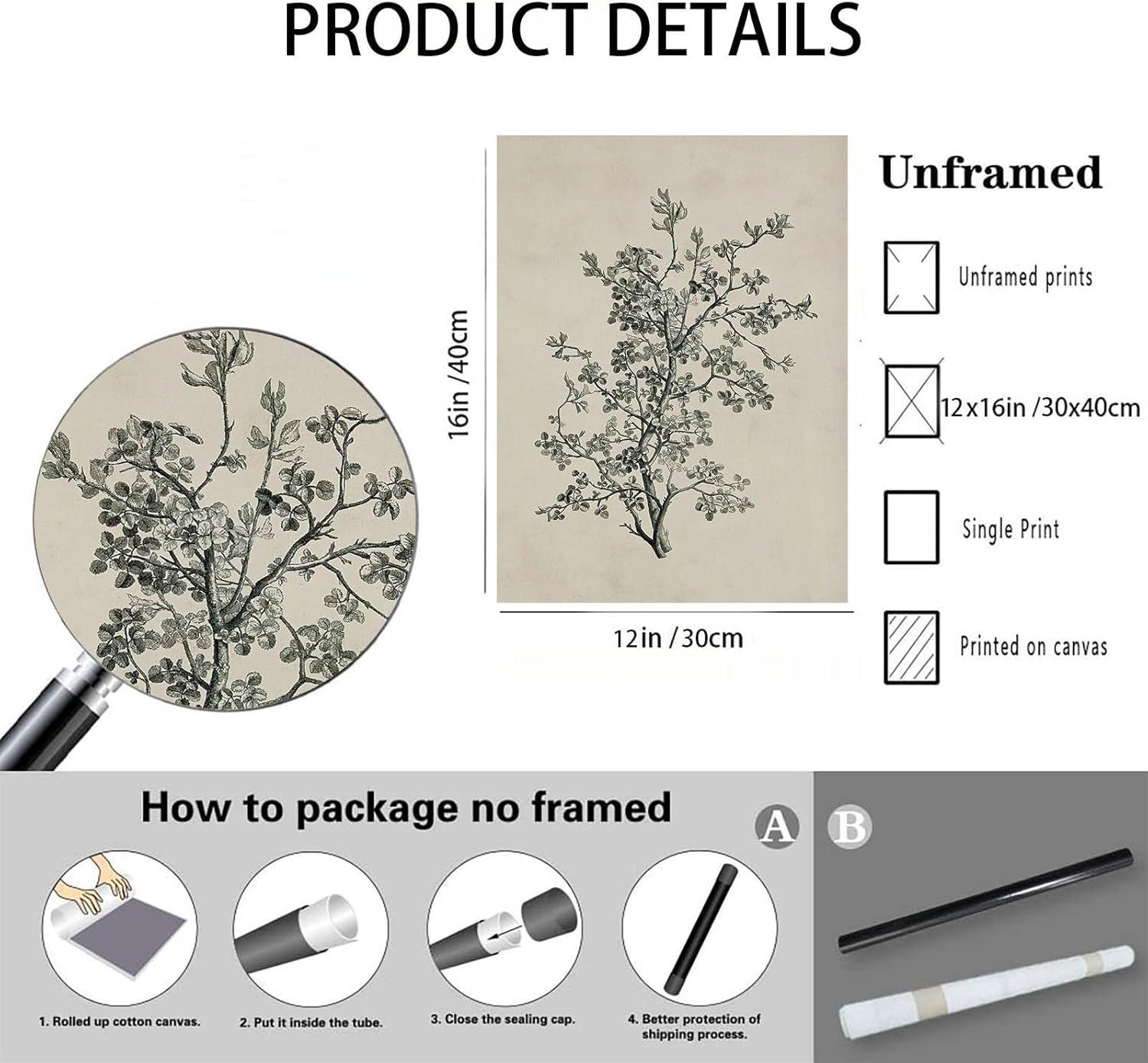 Vintage Botanical Wall Art Prints - Black and White Sketch Art Decor - Antique Pictures and Rustic Paintings for Living Room Bedroom - 12"x16" Unframed