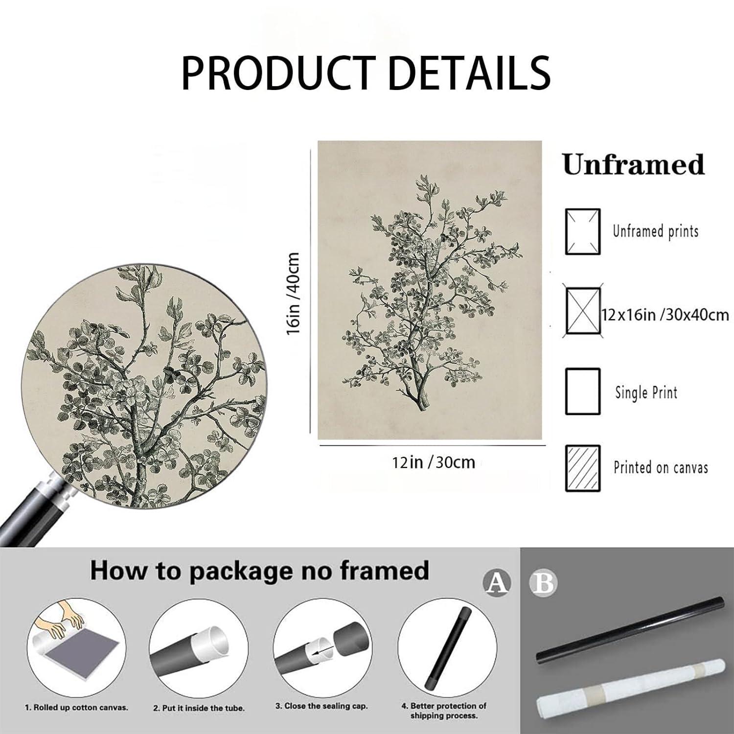 Vintage Botanical Wall Art Prints - Black and White Sketch Art Decor - Antique Pictures and Rustic Paintings for Living Room Bedroom - 12"x16" Unframed