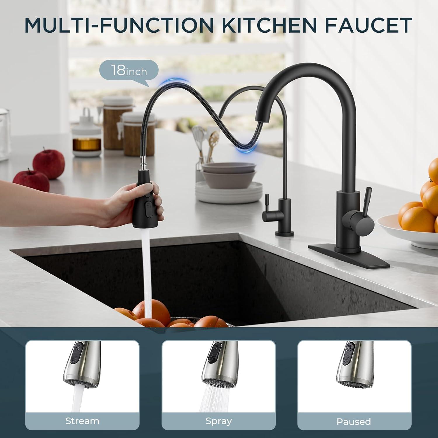 ARCORA Stainless Steel Pull-Down Kitchen Faucet and Water Filter Faucet Combo