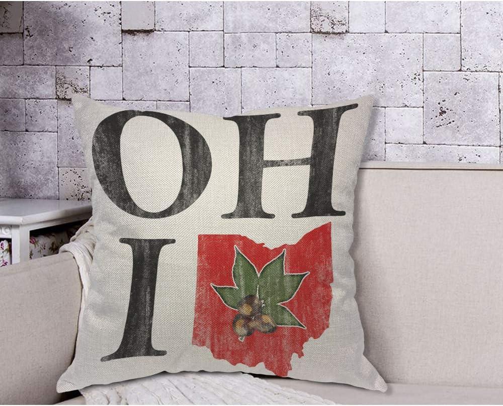 AOYEGO Oh I Love Ohio States Throw Pillow Cover Vintage Red Buckeye Nut Pillow Case 18x18 Inch Decorative Men Women Room Cushion Cover for Home Couch Bed