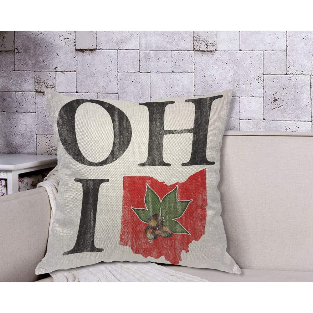 AOYEGO Oh I Love Ohio States Throw Pillow Cover Vintage Red Buckeye Nut Pillow Case 18x18 Inch Decorative Men Women Room Cushion Cover for Home Couch Bed