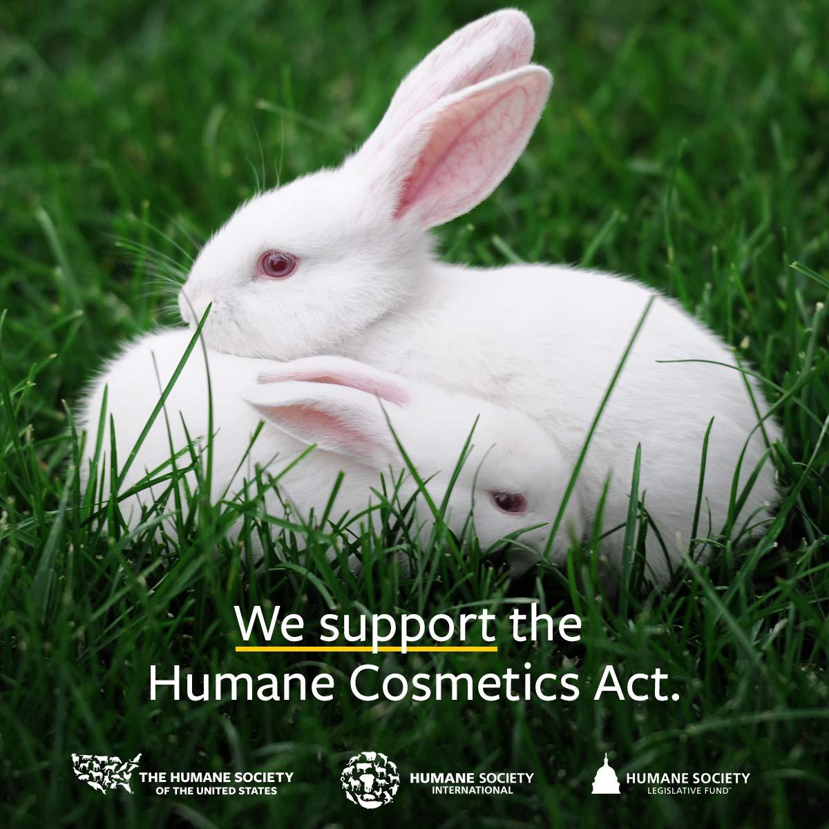 US Organic Chamomile Essential Oil (Roman), 100% Pure Certified USDA Organic 5ml