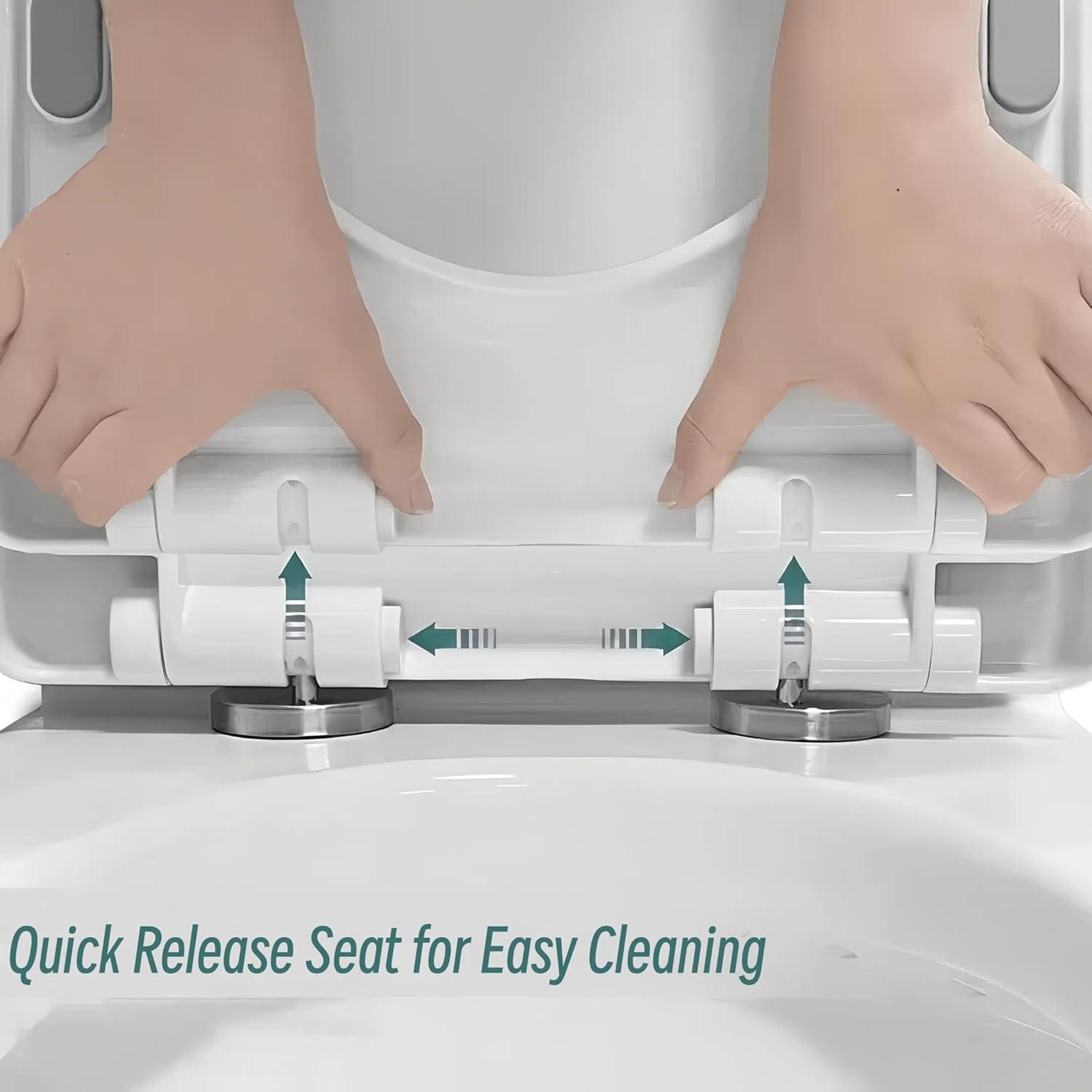 Momei One Piece Toilet,Floor-Discharge Dual Flush,Glossy White - 24.8x13x27.56