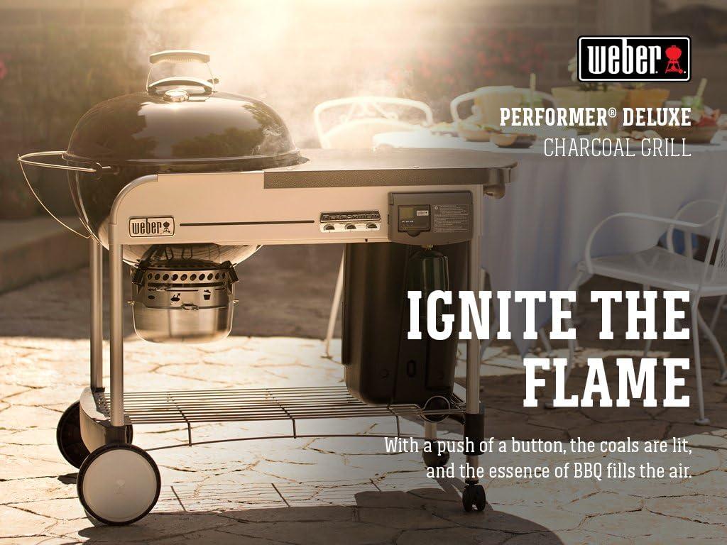 Performer Weber Charcoal Grill