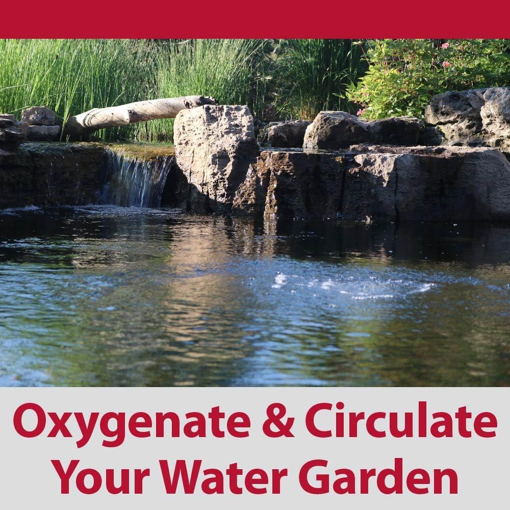 The Pond Guy Pond Aerator 1, Water Garden Aeration Kit: Diaphragm Compressor, Air Line & Diffuser