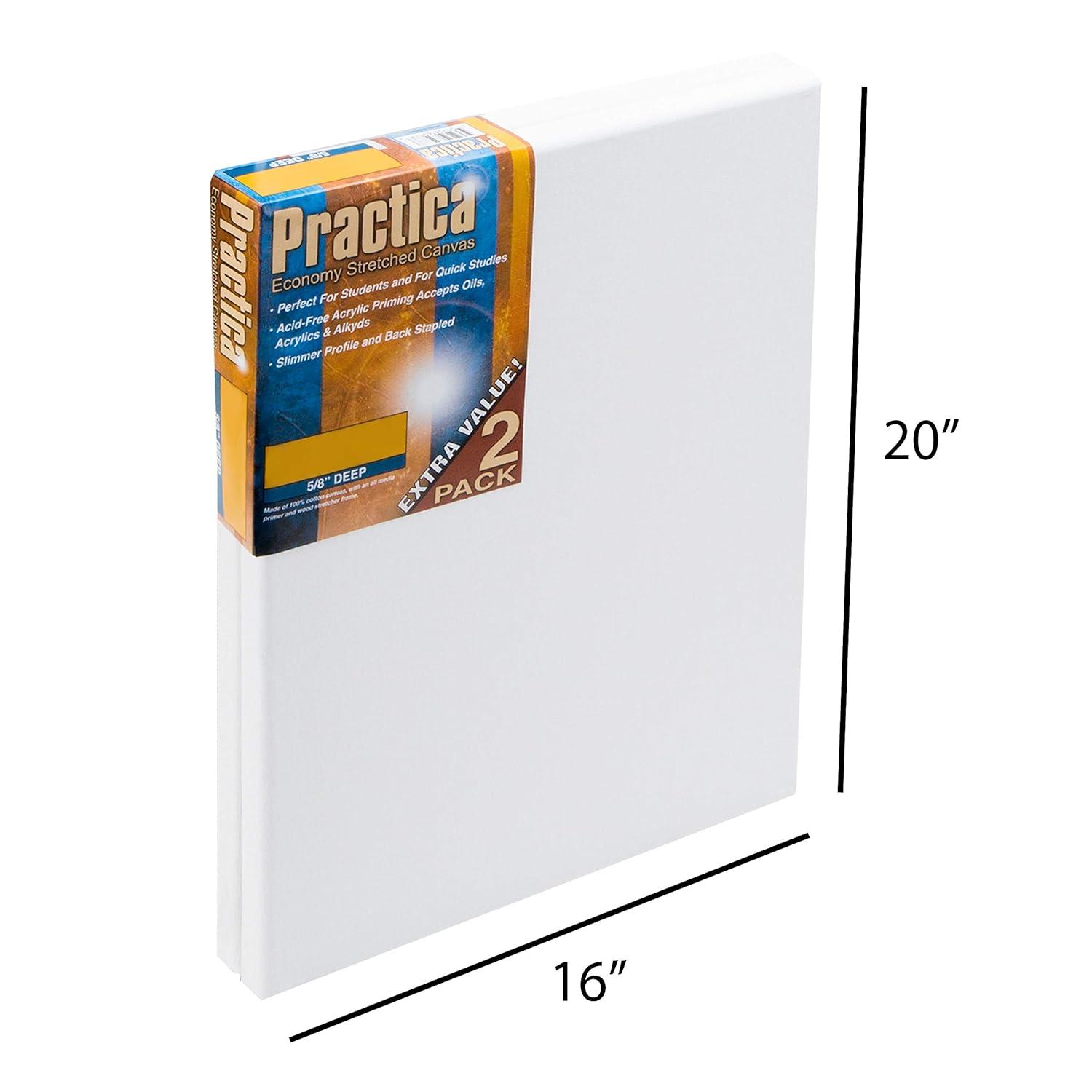 Practica Economy Stretched Cotton Canvas 2 Packs - Acid-Free Acrylic Primed Canvas for Acrylics, Pastels, Graphite, & More!