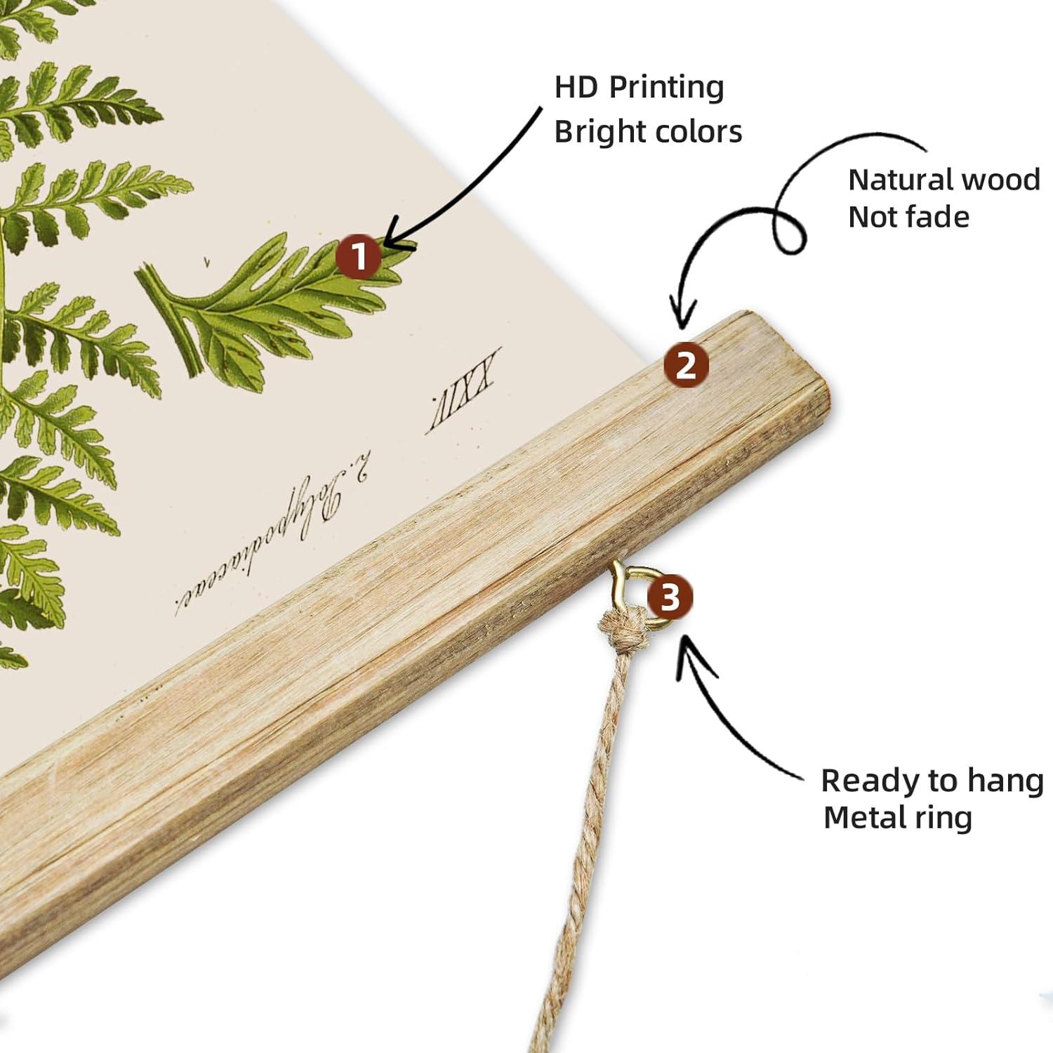 Vintage Illustrative Reference Plant Hanging Poster, Retro Style of Botanical Wall Art Prints, Printed on Linen with Wood Frames, Ready to Hang