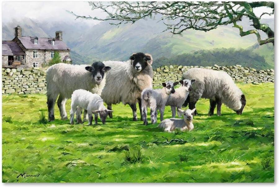 Black Mountain Sheep Landscape Framed Canvas Art