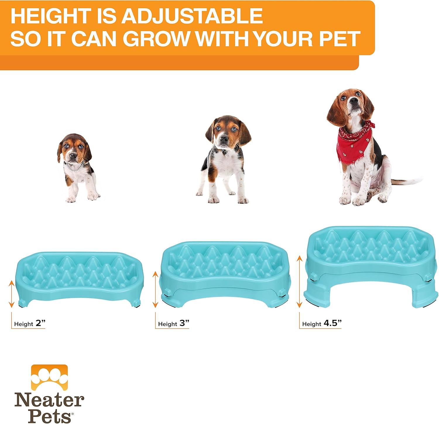 Neater Pet Brands Raised Neater Slow Feeder - Elevated & Adjustable Feeding Height - Improves Digestion, Stops Obesity, and Slows Down Eating, 2.5 Cups, Aquamarine